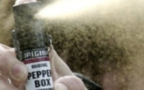 Capriano del Colle: un ragazzo spruzza spray al peperoncino su un autobus