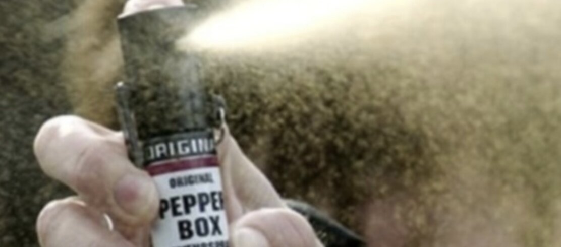 Capriano del Colle: un ragazzo spruzza spray al peperoncino su un autobus