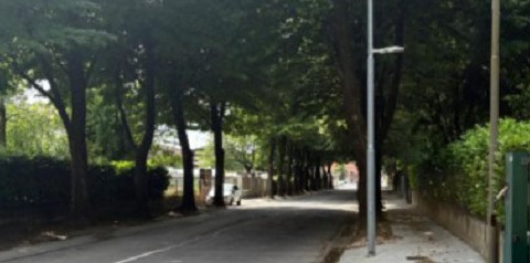 Controversia sulla messa in sicurezza di viale Italia