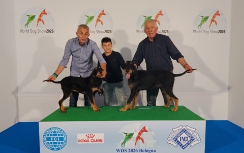 Successo per La Bassa al World Dog Show