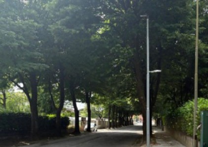 Viale Italia suscita consensi, ma il dibattito sulla paternità del progetto continua