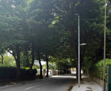 Viale Italia suscita consensi, ma il dibattito sulla paternità del progetto continua